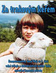 За кустами терновника