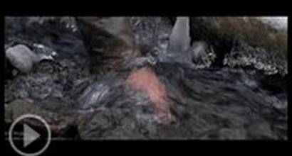 Промо-ролик