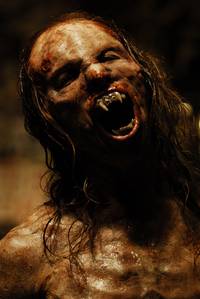 Кадр Воины света