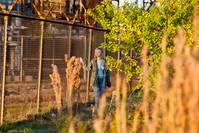 Кадр Киллер Джо