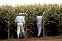 Кадр Поле чудес