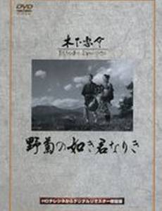 Ты была подобна дикой хризантеме