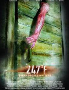 247 градусов по Фаренгейту