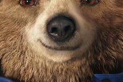 Приключения Паддингтона