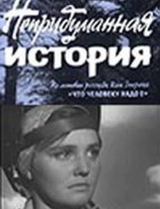 Непридуманная история