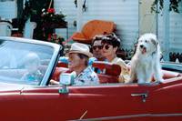 Кадр Предки