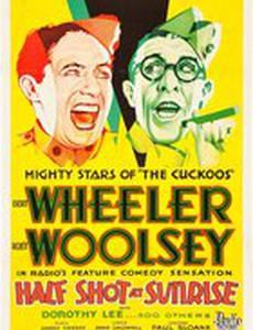 Половина выстрела на рассвете