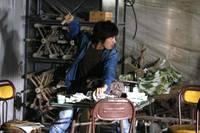 Кадр Война цветов