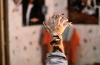 Кадр Кошмар на улице Вязов 2: Месть Фредди