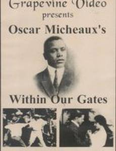 В нашем дворе