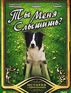 Ты меня слышишь?