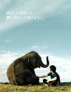 Мальчик и слоненок Рэнди