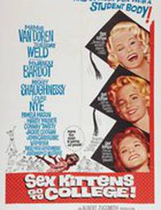 Sex Kittens Go to College