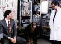 Кадр Рай для всех