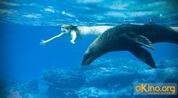 Кадр из фильма "Остров Ним" - 1