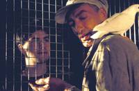 Кадр Братья до смерти