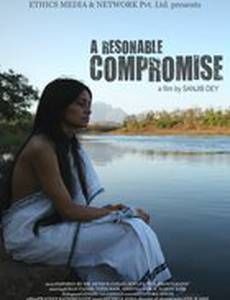 Разумный компромисс (видео)