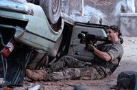 Кадр Морские котики