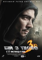 Бой с тенью 3: Последний раунд