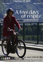 Несколько часов передышки