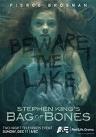 Мешок с костями