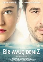 Море на ладони