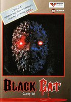 Чёрная кошка