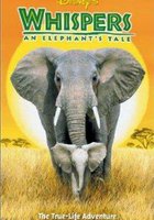 Приключения слона