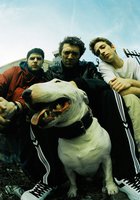 Маленькая бородка