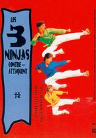 Три ниндзя наносят ответный удар