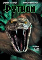 Питон