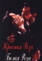 Красная роза, белая роза