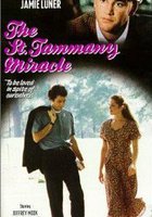 The St. Tammany Miracle