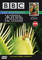 BBC: Невидимая жизнь растений