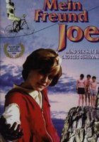 Мой друг Джо