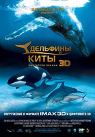 Дельфины и киты 3D