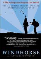 Дикая лошадь