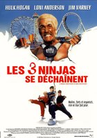 Три ниндзя: Жаркий полдень на горе Мега