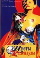 Цветы календулы