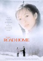 Дорога домой