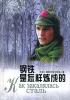 Как закалялась сталь