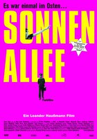 Солнечная аллея