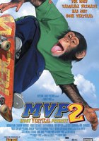 Король скейтборда