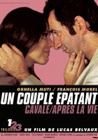 Удивительная пара