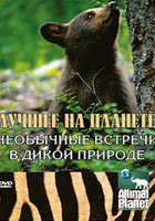 Animal Planet: Лучшее на планете