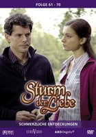 Шторм любви