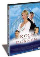 Rose unter Dornen