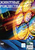 Животные Рождества