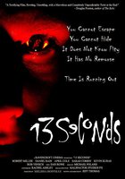 13 секунд (видео)