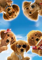 Принцы воздуха (видео)